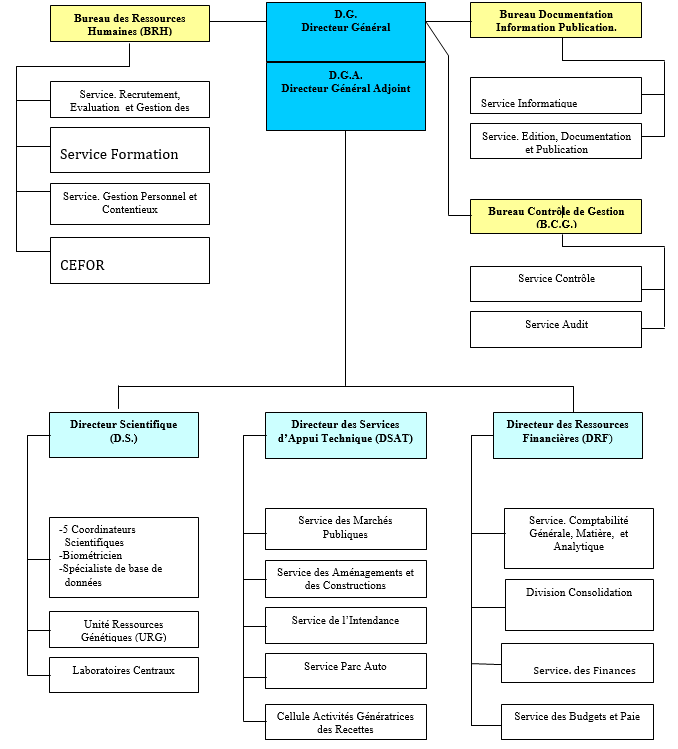 Organigramme de l'IER